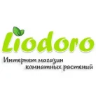 Интернет-магазин Liodoro.ru фотография 2