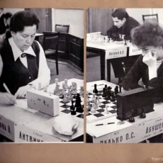 Интернет-магазин Русский шахматный дом фотография 5