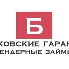Информационный сервис bg001.ru фотография 3