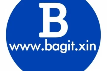 Сервис доставки с попутчиками Bagit 