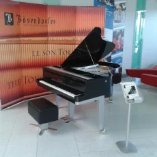 Салон роялей и пианино Forte & Piano фотография 4