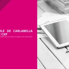 Компания по оптимизации бизнес-процессов Carlabella фотография 6